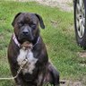 lynn_phill55283's profile picture. lifelong liberal, vote blue, love country living, animals, art- to collect and create