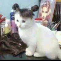 Jennifer Krajcik (@krajcik37821) 's Twitter Profile