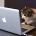 CantabKitty (@cantabkitty) Twitter profile photo CantabKitty (@cantabkitty) Twitter profile photo