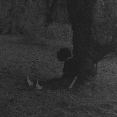 Majid1696's profile picture. eccedentesiast😊
nyctophilia😞