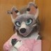 🔞FrayaWolf 🇦🇹 Creampie bitch💦💦🔜 MFF2025 (@frayawolf) Twitter profile photo 🔞FrayaWolf 🇦🇹 Creampie bitch💦💦🔜 MFF2025 (@frayawolf) Twitter profile photo