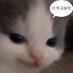 mutttte (@zvxna037) Twitter profile photo mutttte (@zvxna037) Twitter profile photo