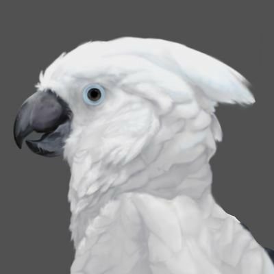 波浪さんのプロフィール画像