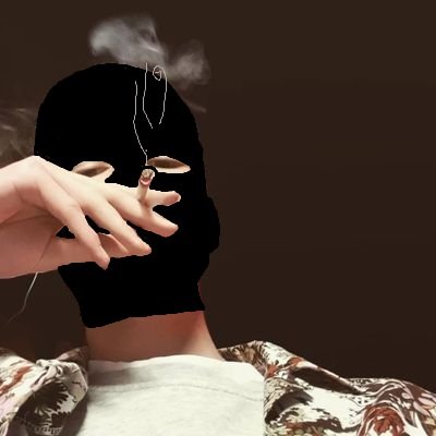 0xNiceGuy_'s profile picture. We printing fr fr