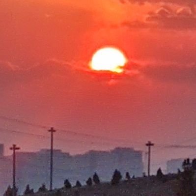 ShamsuddinBern1's profile picture. كاتب