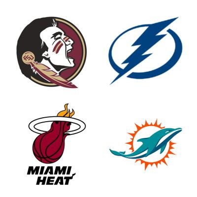 Florida State University Seminoles ❤️💛, Tampa Bay Lightning⚡, Miami Heat 🔥, Miami Dolphins 🐬