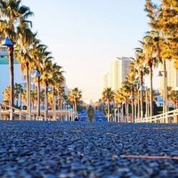 ILC (@yoshsr400) 's Twitter Profile