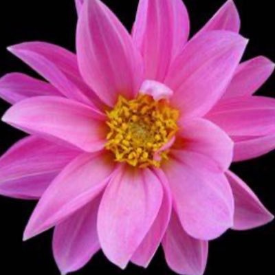 heaton_voice's profile picture. 