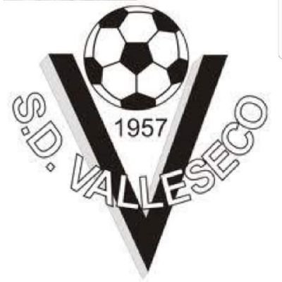 S.D Valleseco. Santa Cruz de Tenerife.
Mas que un club, una FAMILIA.
Todas las categorías, desde iniciación hasta regional.