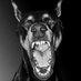 putinishigh666 (@putinishigh666) Twitter profile photo putinishigh666 (@putinishigh666) Twitter profile photo