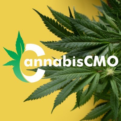 CannabisCMO Profile Picture