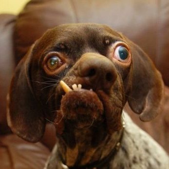 insidious604's profile picture. C yoU Next Tuesday 
idgaf if you're offended you have the power to be not so weak
beep/boop I identify as a toaster that cooks soup. 
ALL LIVES MATTER