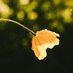 Beautiful World (@patriotism2013) Twitter profile photo Beautiful World (@patriotism2013) Twitter profile photo