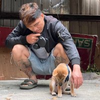 峻峻 (@hok8pujhott1v3c) 's Twitter Profile