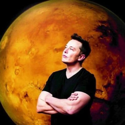 Elon Musk | Tesla | Spacex Elon Musk Is 👇 CEO - SpaceX 🚀 Tesla A 🚘 Founder - The Boring Company 🛣 Co-Founder - Neuralink, OpenAl @elonmusk