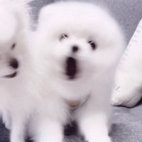 mnu (@mxxx_n_xxxu) 's Twitter Profile