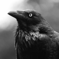 Matty (@mattyculz) 's Twitter Profile