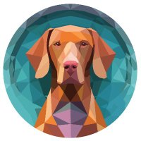 Hungarian Vizsla Inu & VizslaSwap (@hunvizslainu) 's Twitter Profile Photo
