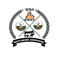 WHITE BRIDGE ASSOCIATION(WBA)(@WbaBridge) 's Twitter Profile Photo