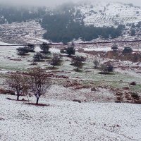 yezza (@charifa_da84323) Twitter profile photo