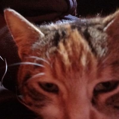 night___dark's profile picture. 