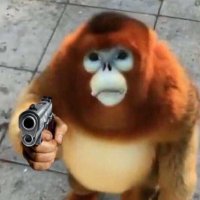 black_fear (@fearblack8) 's Twitter Profile