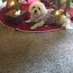 Donna Swidley (@donna780780) Twitter profile photo Donna Swidley (@donna780780) Twitter profile photo