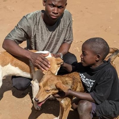 I am Ugandan animal rescuer who does this through love and passion to help out to the mistreated homeless animals: so please donate to support for food shelter.