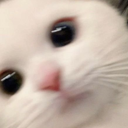 whoiscloudyyy's profile picture. i do not know who i am