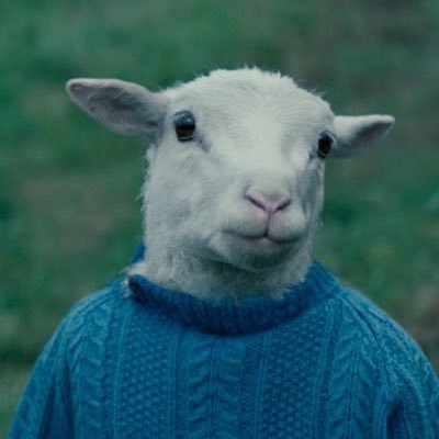 hayejunt's profile picture. 