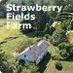 Strawberry Fields Farm (@strawberryff24) Twitter profile photo