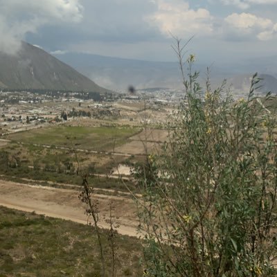 elquesabe2014's profile picture. 