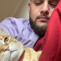 Stump Chuggins (@liiloyal) Twitter profile photo