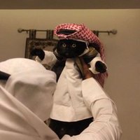 vb. (@aa7ff1) 's Twitter Profile