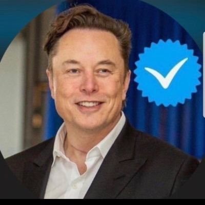 founder,chairman,CEO,and chief technology officer of SpaceX angel investor, CEO,product architect and chairman of Tesla,owner,chairman and CTO of X Corp…………….