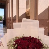 أسماء (@asoma_alemadi) 's Twitter Profile