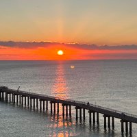 Päls (@j_jdhs) 's Twitter Profile
