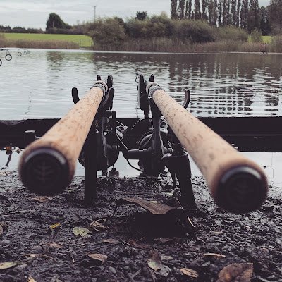 Greenrobot52155's profile picture. 