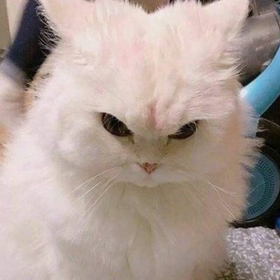 amnesiaさんのプロフィール画像