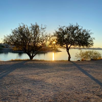 howdyhowdhow's profile picture. 