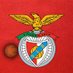 Basquetebol do Sport Lisboa e Benfica (@basquetebolslb) Twitter profile photo