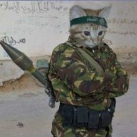 CzłowiekBurger (@czlowiek_burger) 's Twitter Profile