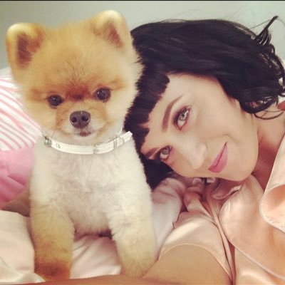 esse perfil tem de conteúdo surtos estudantis, adoração a rainha do pop katy perry e propaganda do partido comunista chinês