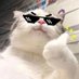 笑顔が1番っしょ! (@tgmgwgwgwg) Twitter profile photo 笑顔が1番っしょ! (@tgmgwgwgwg) Twitter profile photo
