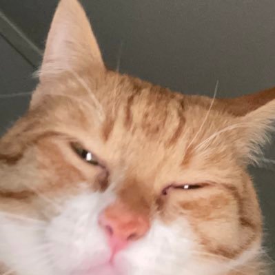 theoplemonster's profile picture. 📣 Creator of @TeamSupernovaX
🐍💻Python programmer 
🦶#FootFreak
NSFW AND PROSHIPPERS DNI 
FOLLOW SUPERNOVA NOW^^^^^^^^^^