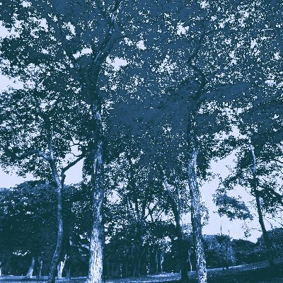 #art #arte #draw #dibujo #digitalart #digitalpainting #landscape #photography #photo #fotografia #caracas