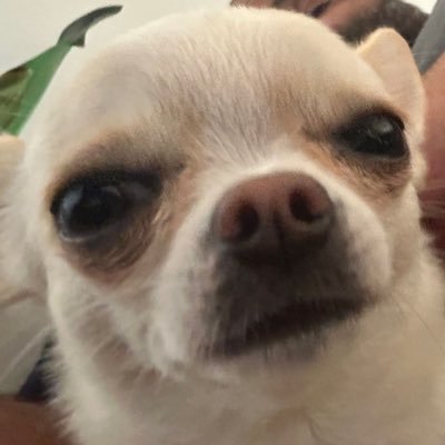 dabimartins's profile picture. Vim ao mundo para provocar uma sociedade que é indecisa, preguiçosa e acomodada...