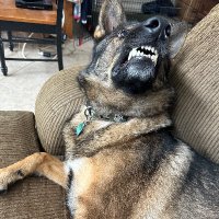 William Johnson (@johnson_wi99376) 's Twitter Profile Photo