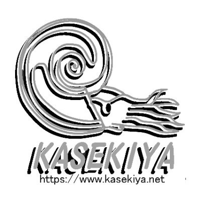 KASEKIYAでは、イギリス産化石を中心に世界の化石を取り扱っております。
各地のミネラルショーなどのイベントに出店していますので遊びに来てくださいね！
Youtubeチャンネル【KASEKIYAラボ】開設しました！
https://t.co/JG1rLmH1Vf