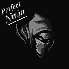 Perfect Ninja/
Queen Marian